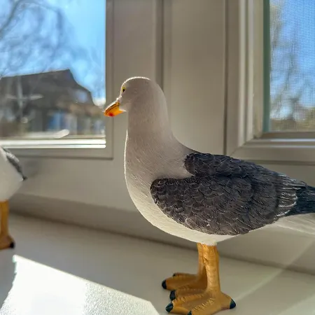 Wieckend * Wieck auf dem Darss